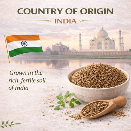 Whole Cumin Seeds – Non-GMO, Bold Flavor, Ideal for Jeera Recipes, Spice Blends, and Culinary Seed Use